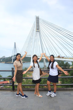 Private driver Batam